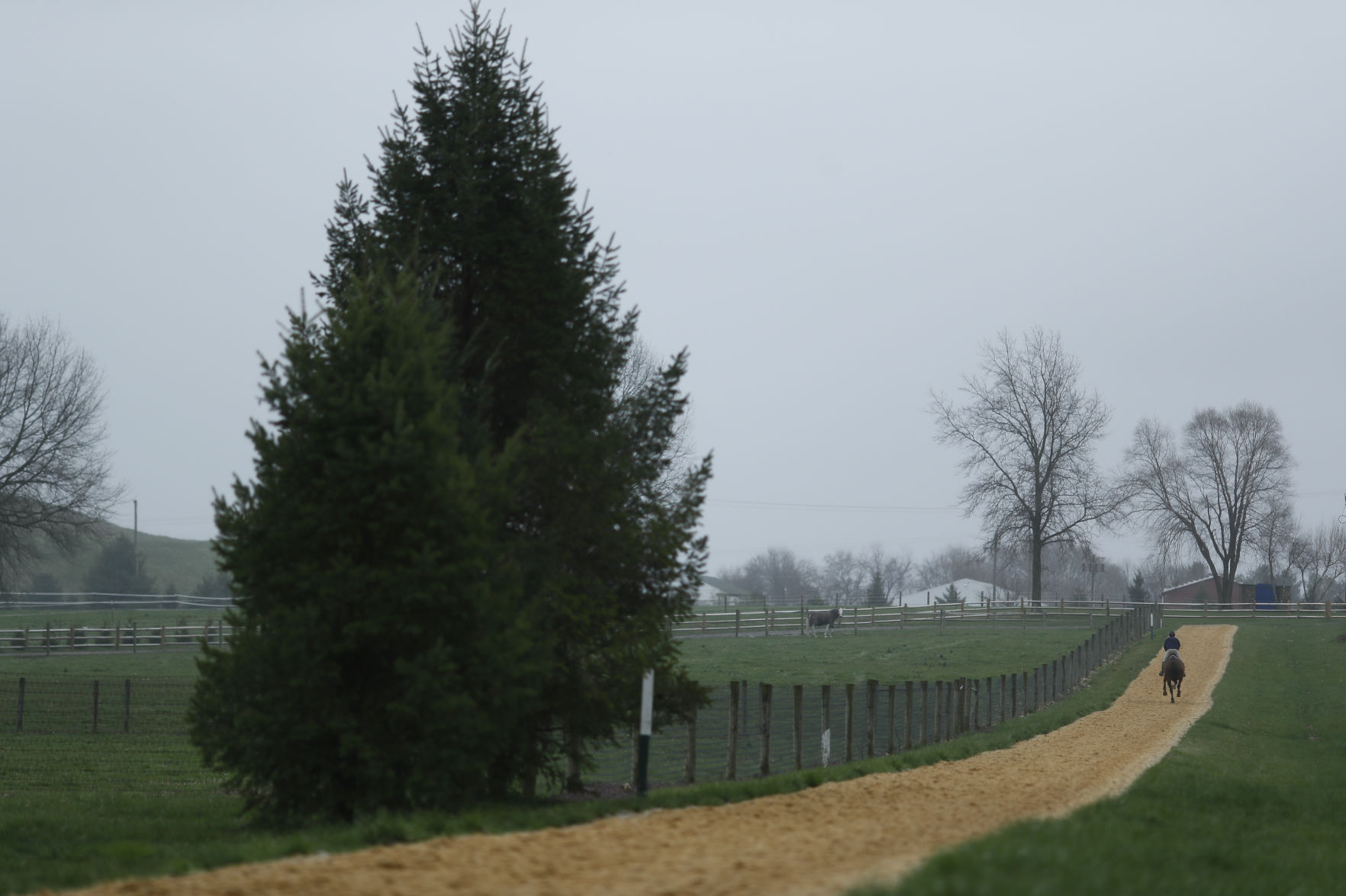 Virus Outbreak Olympic Equestrian Photo Gallery